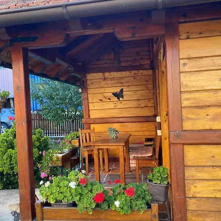 Daire Flowers Valjevo