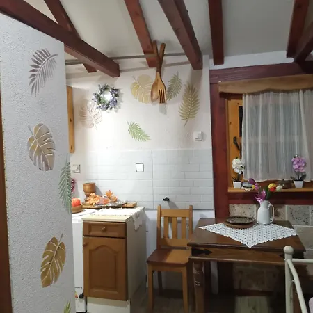 Daire Flowers Valjevo